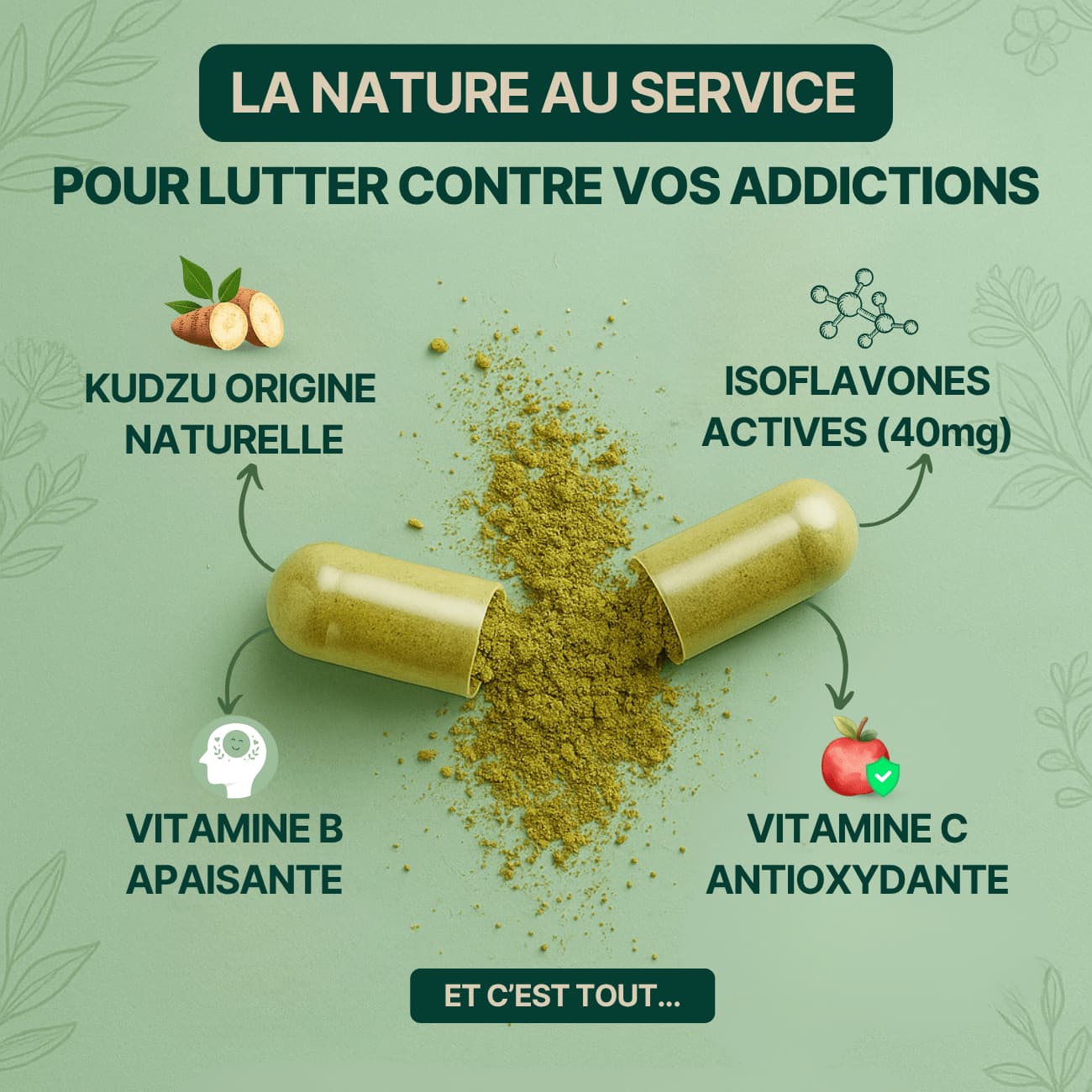 Kudzu Dopazen 40 mg d’isoflavone - 100% naturel