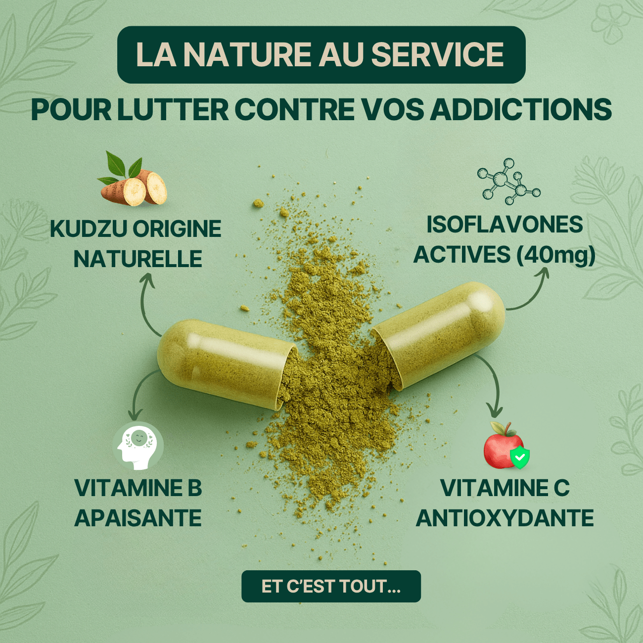 Kudzu Dopazen 40 mg d’isoflavone - 100% naturel