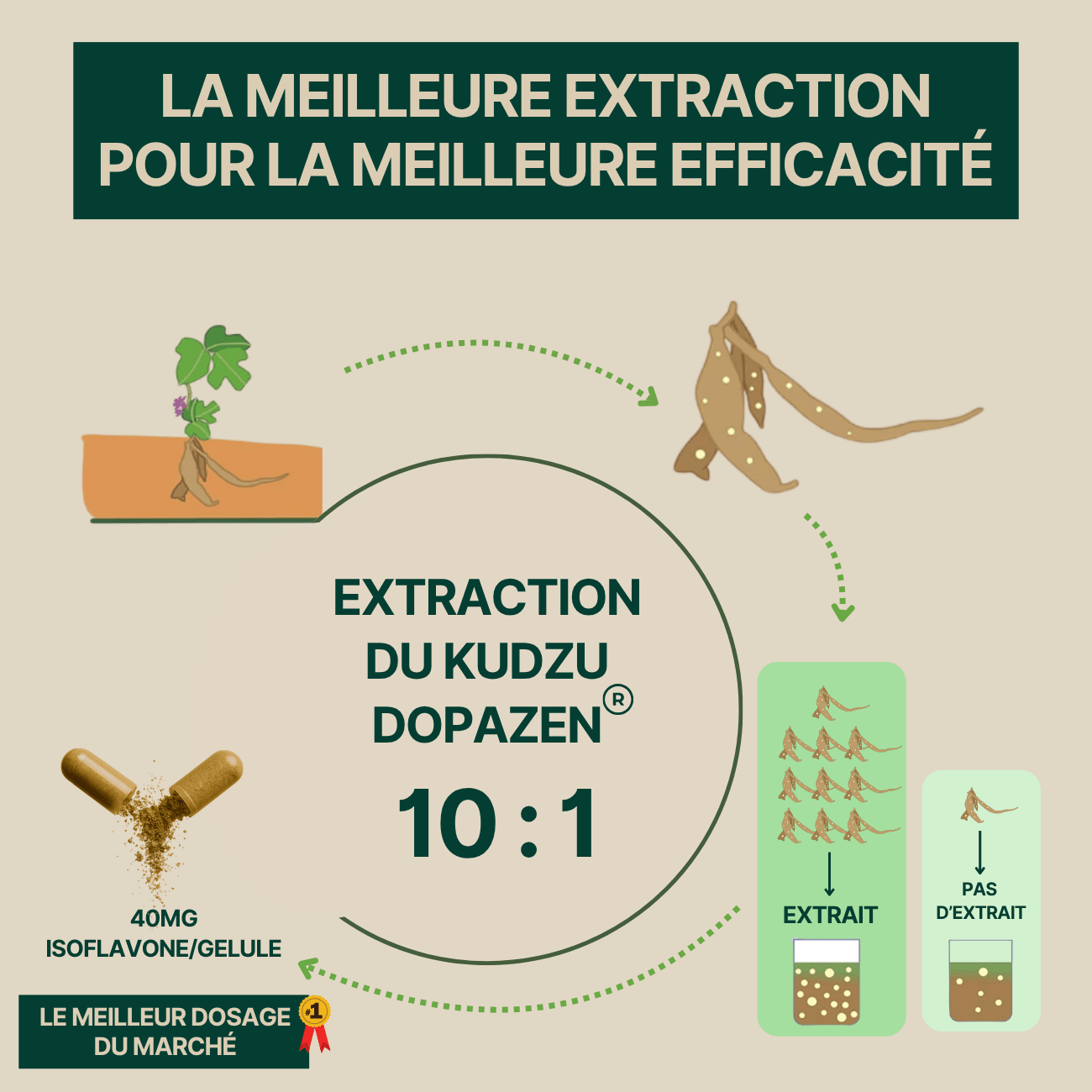 Kudzu Dopazen 40 mg d’isoflavone - 100% naturel